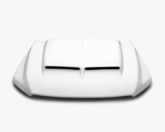 CERVINIS 2015 FORD F150 RAM AIR HOOD