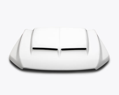 CERVINIS 2020 FORD F150 RAM AIR HOOD