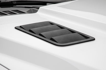 CERVINIS 2018 FORD F150 STALKER HOOD