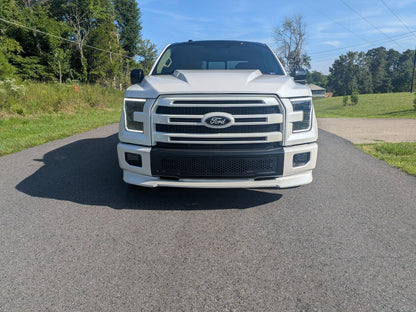RK SPORT 2015-2020 FORD F150 COWL HOOD FIBERGLASS