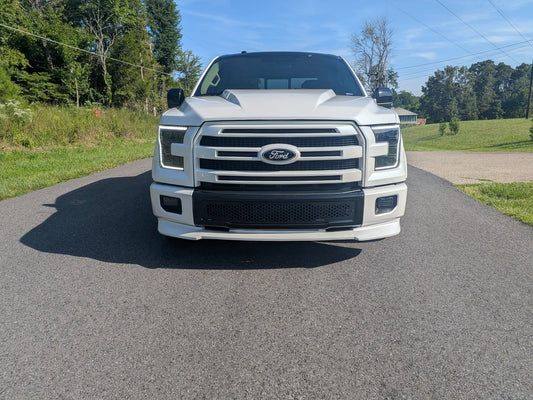 RK SPORT 2015-2020 FORD F150 COWL HOOD FIBERGLASS