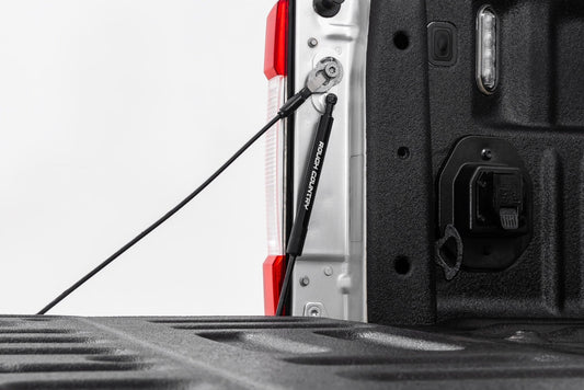 ROUGH COUNTRY TAILGATE ASSIST FORD F150 15-26